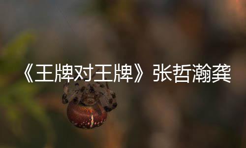 一期瀚龚期有对王第几龚俊王王牌王牌俊张哲瀚在哪张哲牌对牌