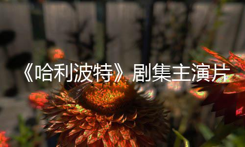 百万哈利波特第二季剧集就成主演片酬曝光富翁