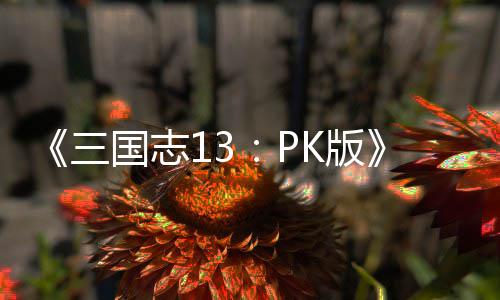 K版巧托玩国志委三法技