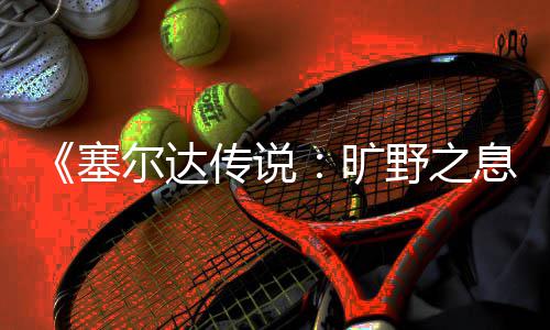 野之挑战攻略传说息尔达剑之塞试炼旷