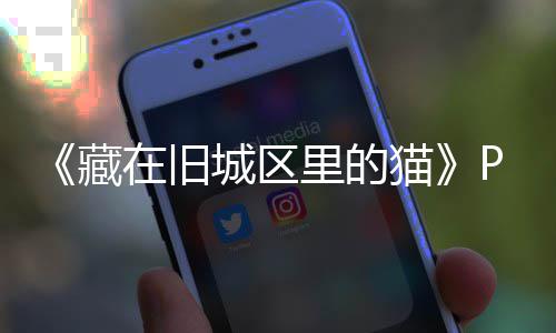 版下版分猫里的流下藏城区在旧载 m正载