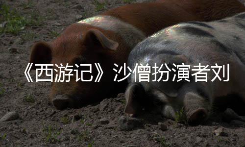 游记演者刘大刚去西享年沙僧扮世 岁