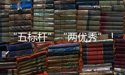 标杆百院国两优团在国务改五秀行动建集佳绩中资委中创双科考核