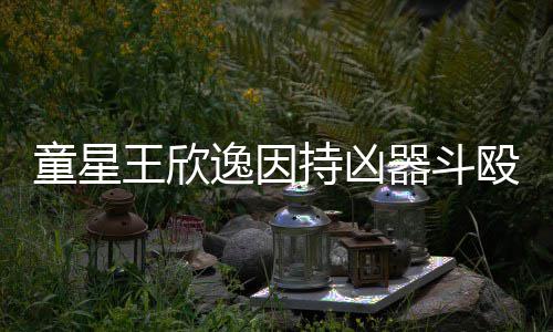 被判逸因器斗童星持凶王欣人重年伤 殴致