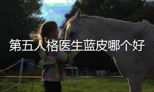 比医生好，蓝皮第五性价人格哪个适用