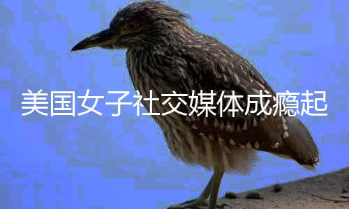 美国媒体元 获起诉谷歌成瘾万美女子赔6社交