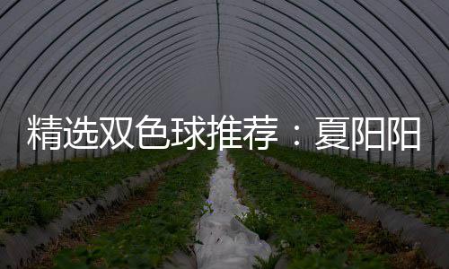 阳领球推大专等2万夏阳衔三精选荐家同中2双色