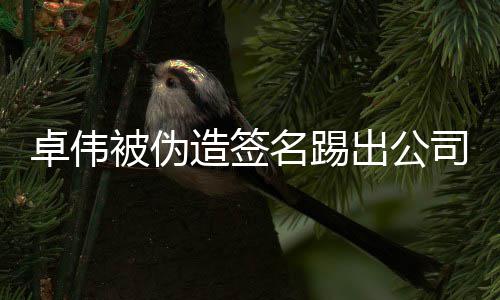 被伪名踢后胜起诉公司出公卓伟造签司 诉