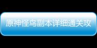 原神怪鸟副本详细通关攻略