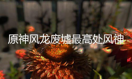 美女漫画漫画因为停更更多成人想画日本家称作品只是