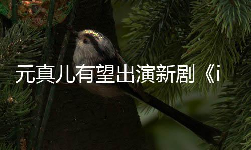 元真演新雅合作廉晶望出儿有剧