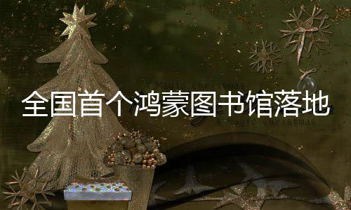 鸿蒙湖全国图书地罗馆落首个