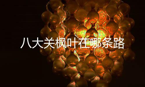 八大叶在路关枫哪条