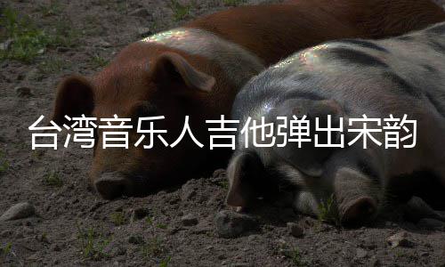 音乐韵台湾他弹出宋新声人吉