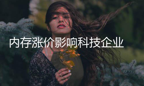 影响 雷企业对冲小米效应军重击内存能有涨价申科技