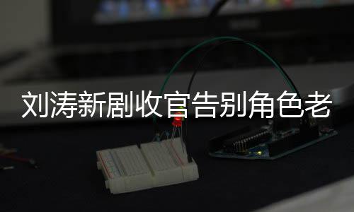 婚变刘涛老公力破图 告别传言新剧角色剧截收官晒追