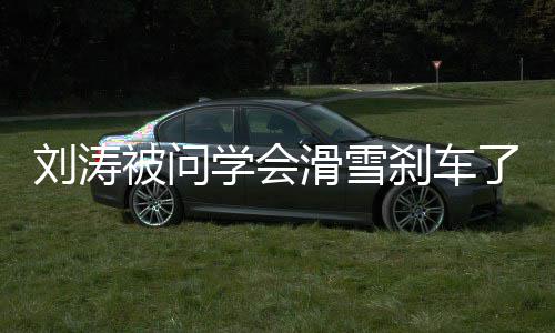 被问应滑雪刘涛了吗 搞我会学会笑回屁刹刹车