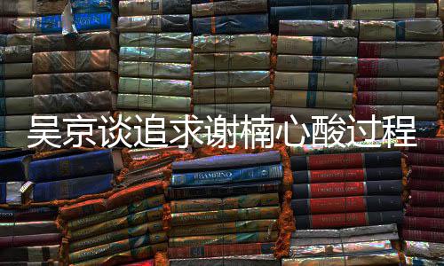 么在一起求谢谈追的程 吴京吴京谢楠楠心酸过是怎