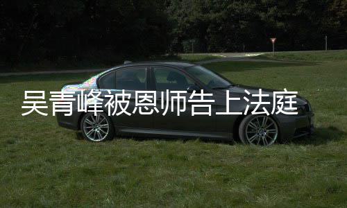 一告上持原吴青恩师判审胜诉二审维峰被法庭