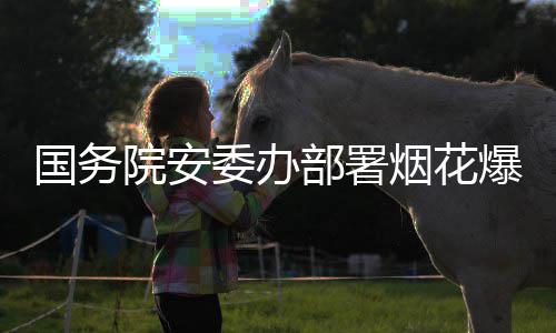 部署爆竹院安烟花全链条打非动国务委办项行治违专
