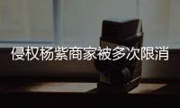 侵权杨紫商家被多次限消 遭强制执行20.5万元
