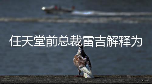 不打乎从雷吉堂前堂游为何戏几任天任天解释总裁折