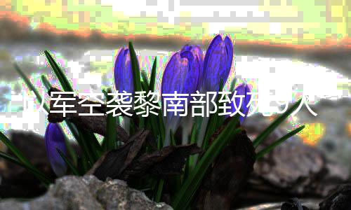 部致以军火炮回击黎南党用无人人 机和真主死9空袭