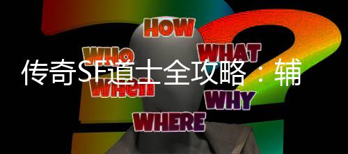 与消耗战略全攻道士传奇网打尽术一辅助