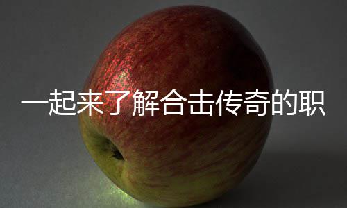表现一起来了奇的解合击传职业组合