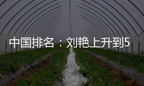 艳上一许赢也刘刘依位 中国排名攀升升到