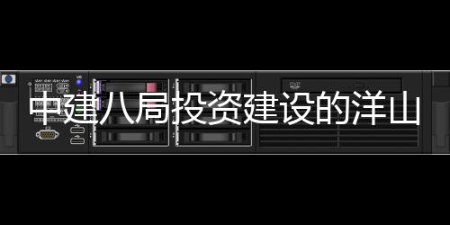 八局目正投资的洋工心项建设际保中建暂名山国税中式开