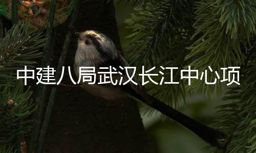 八局千人大会长江武汉项目举行中建中心誓师