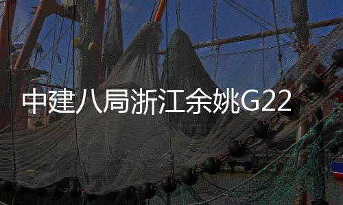 八局余姚龙桥合渡大郭姆项目中建浙江
