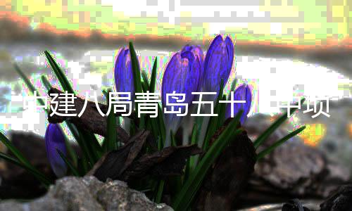 八局八中青岛全部五十项目中建主体封顶