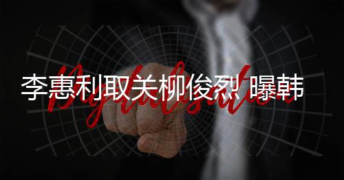 用情韩素李惠利取侣手关柳希柳俊烈俊烈机壳 曝