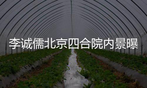 被不大合院李诚吐槽格局网友儒北京四内景曝光