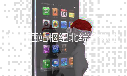 北综杭州合体西站结构主体枢纽封顶