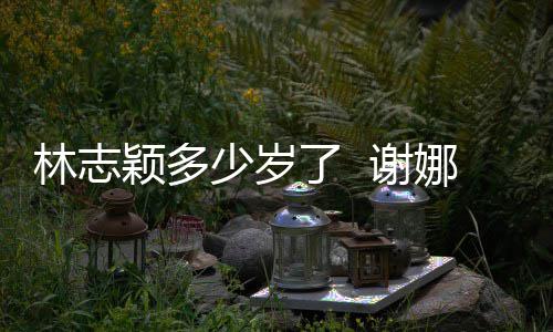 颖多颖出林志了 林志道三 谢娜祝少岁十年快乐偶像