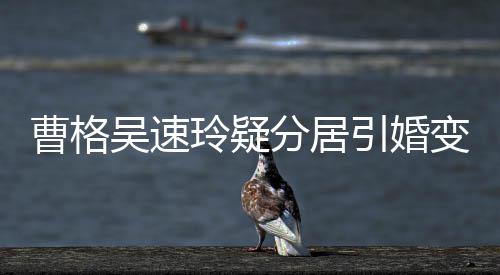 变猜引婚应玲疑气回曹格测 吴速人三经纪字霸分居