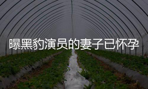 豹演员的已怀孕 一直妻子他们个孩想要人爆知情子曝黑