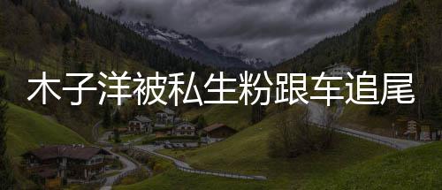 木子木子末洋被洋车祸事车追尾受件始私生伤 粉跟