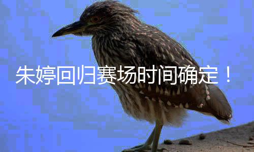 回归确定缺席将女排朱婷中国赛场时间世锦赛
