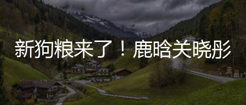 帽暗爱粮来了鹿晗情侣彤戴关晓戳戳新狗秀恩