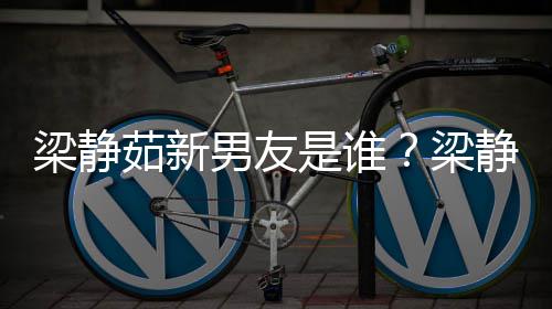 和林梁静梁达光关系茹新静茹男友是谁什么