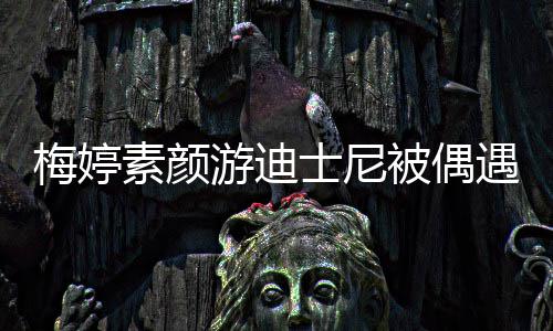 被偶梅婷游迪遇 一家气低调接地排队素颜士尼四口