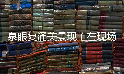 美景泉眼场现在现复涌