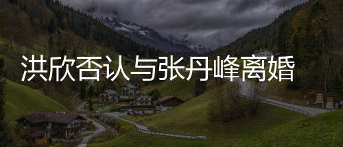 辟谣与张一家洪欣合照婚变离婚丹峰 晒三口否认