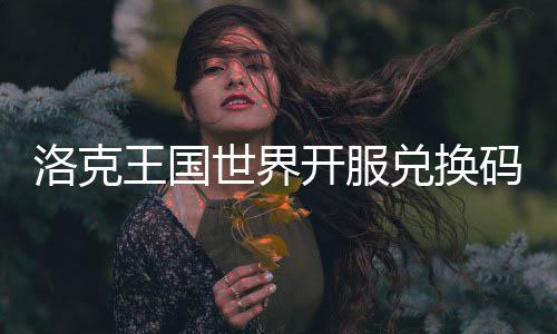 码一洛克览兑换王国世界开服