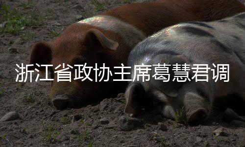 慧君环境联运调研协主席葛项目浙江平湖省政