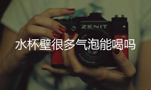 壁很喝吗多气泡能水杯